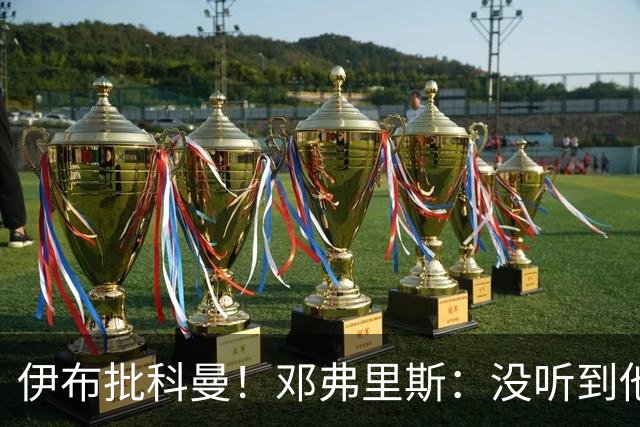伊布批科曼！邓弗里斯：没听到他说什么，我们表现不好但尽全力了