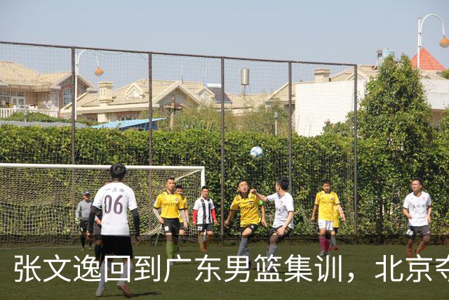 张文逸回到广东男篮集训，北京夺冠功勋确定退役，上海欲续约弗格