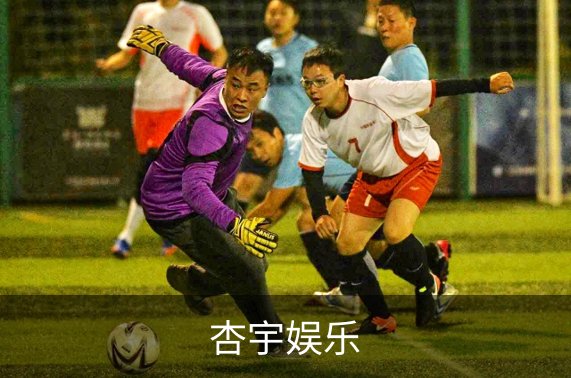 杏宇娱乐概况